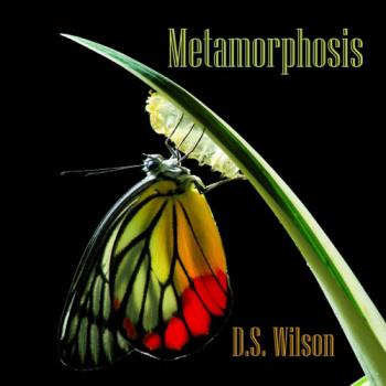 D.S. Wilson - Metamorphosis