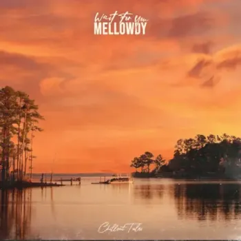 Mellowdy - Wait For You