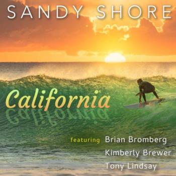 Sandy Shore - California