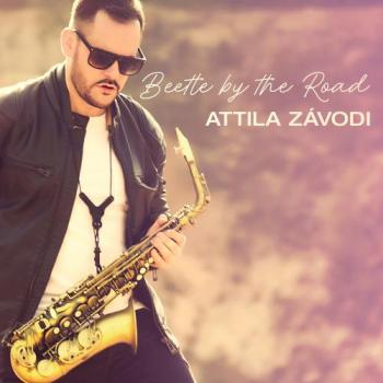 Attila Zavodi - Beetle By The Road
