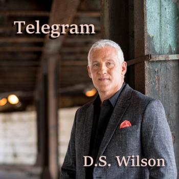 D.S. Wilson - Telegram single