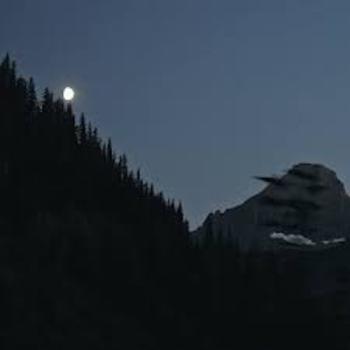 Tim Schaufert - Moss and Moon