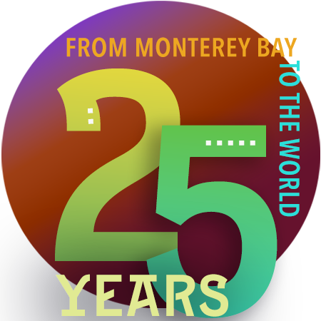 25 Year Smooth Global Logo